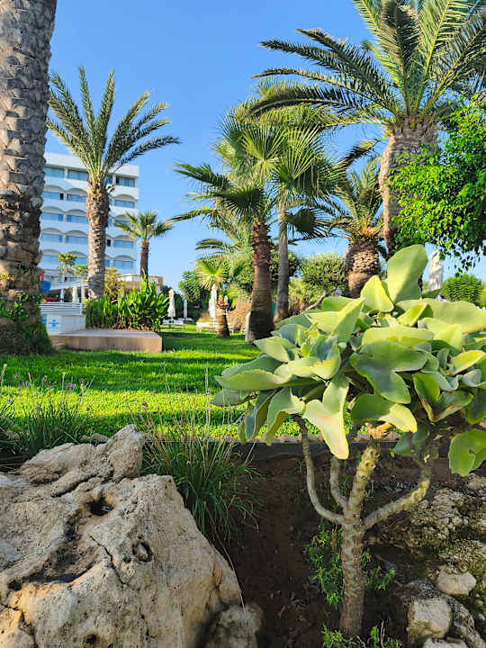 Gartenanlage Crystal Springs Beach Hotel