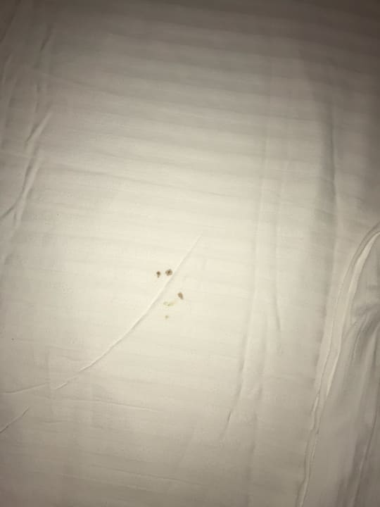 Zimmer Neptune Pwani Beach Resort & Spa