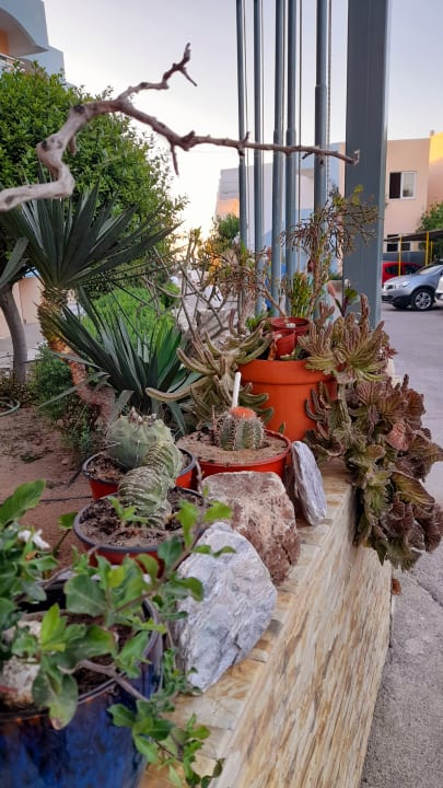 Außenansicht Hotel Kathrin Beach