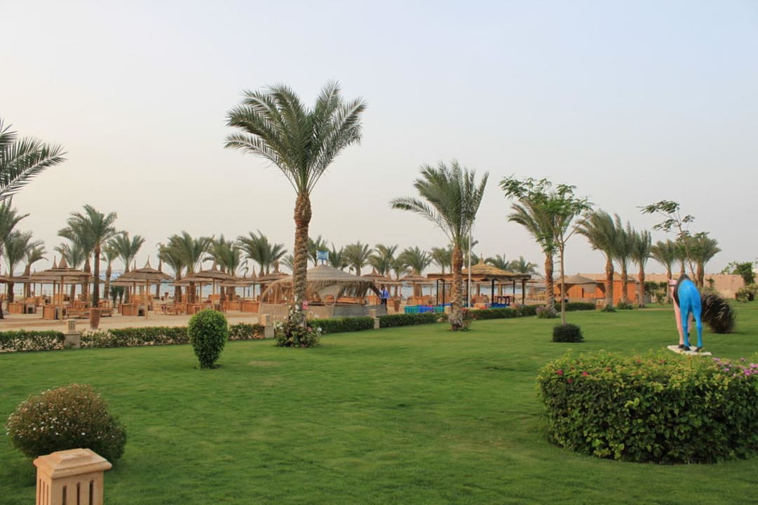 Blick auf den Strand früh morgens!  Pickalbatros Palace Resort