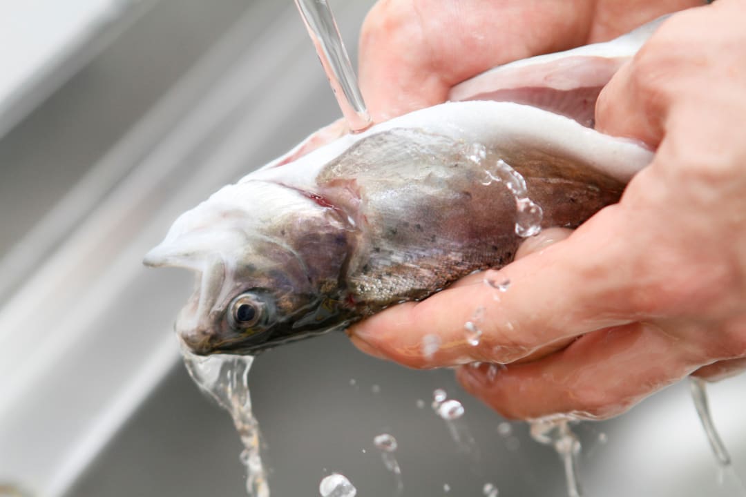 Restaurant Zähringer Hof