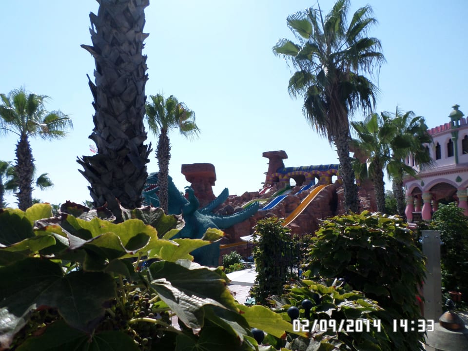 Aquapark Kamelya Aishen Club