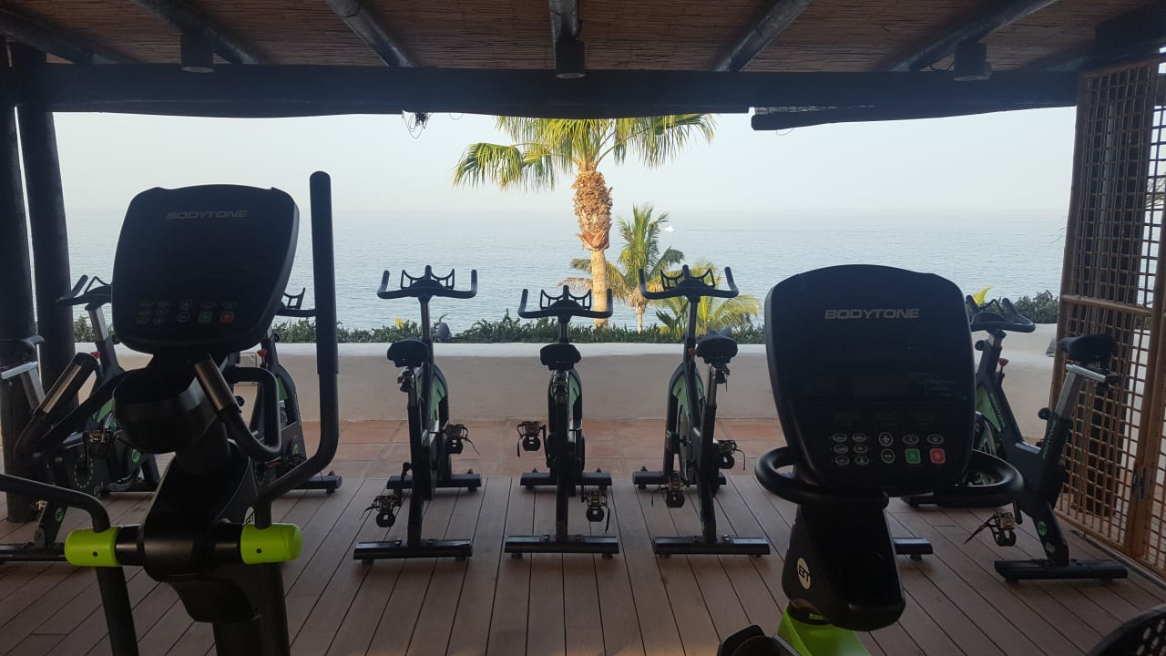 Sport & Freizeit Dreams Jardín Tropical