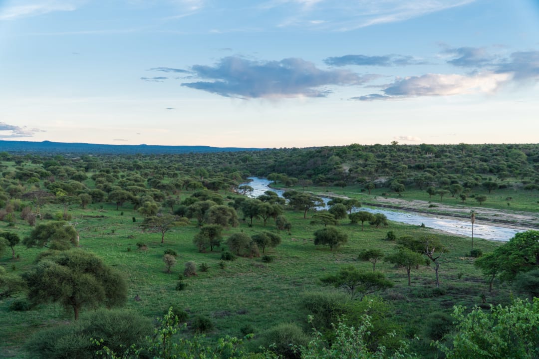 Ausblick Tarangire Safari Lodge