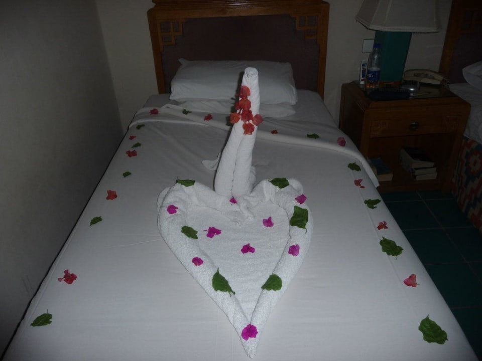 Towel art SUNRISE Holidays Resort (Adults Only)