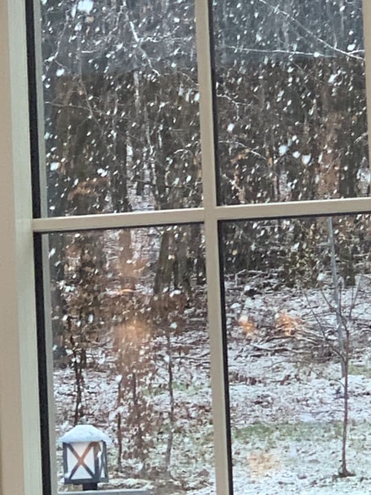 Ausblick Naturresort & Spa Schindelbruch