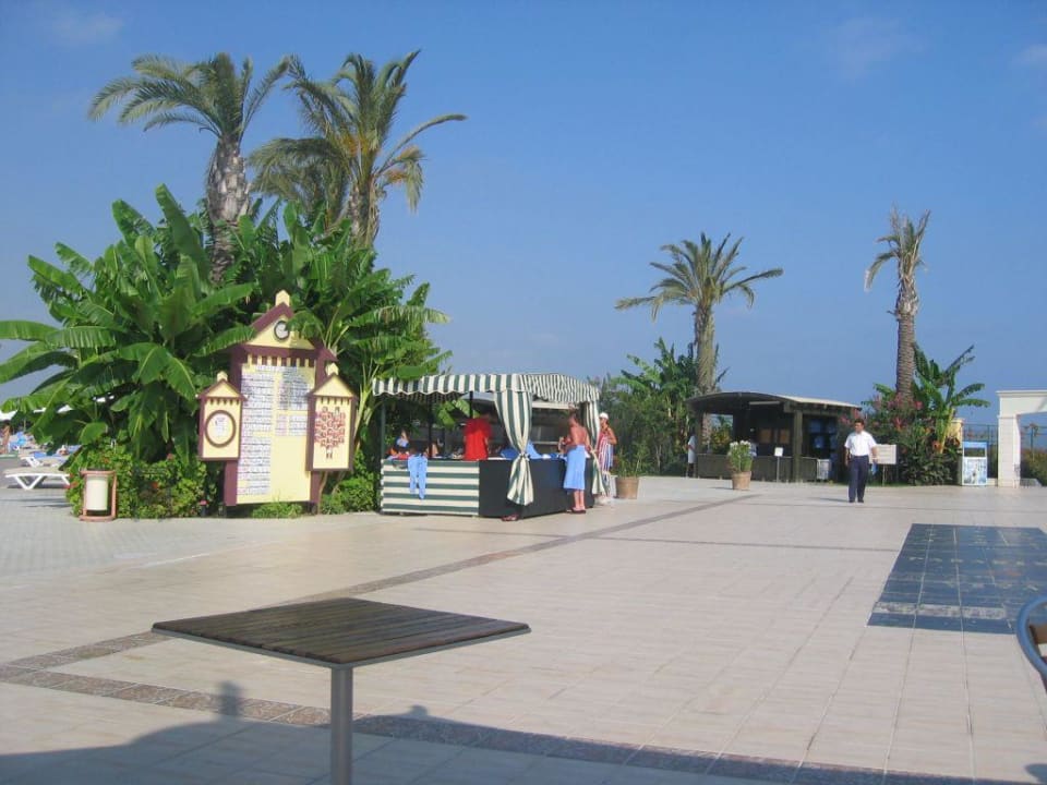 Handtuchausgabe Crystal Paraiso Verde