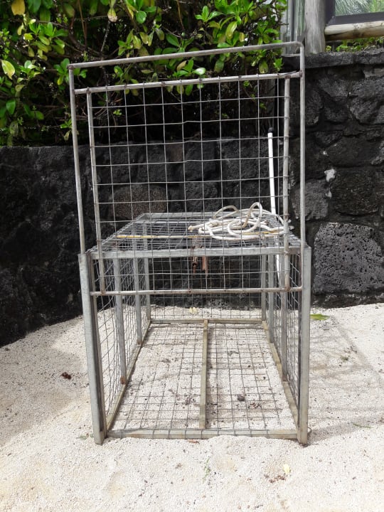 Strand Lagoon Attitude - Adults only