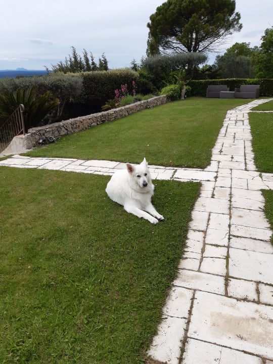 Gartenanlage La Petite Auberge