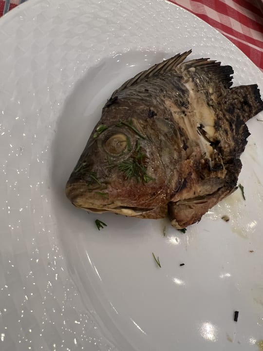 Gastro Titanic Beach Spa & Aqua Park