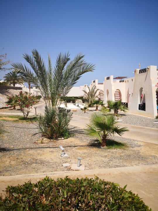 Gartenanlage Hilton Marsa Alam Nubian Resort