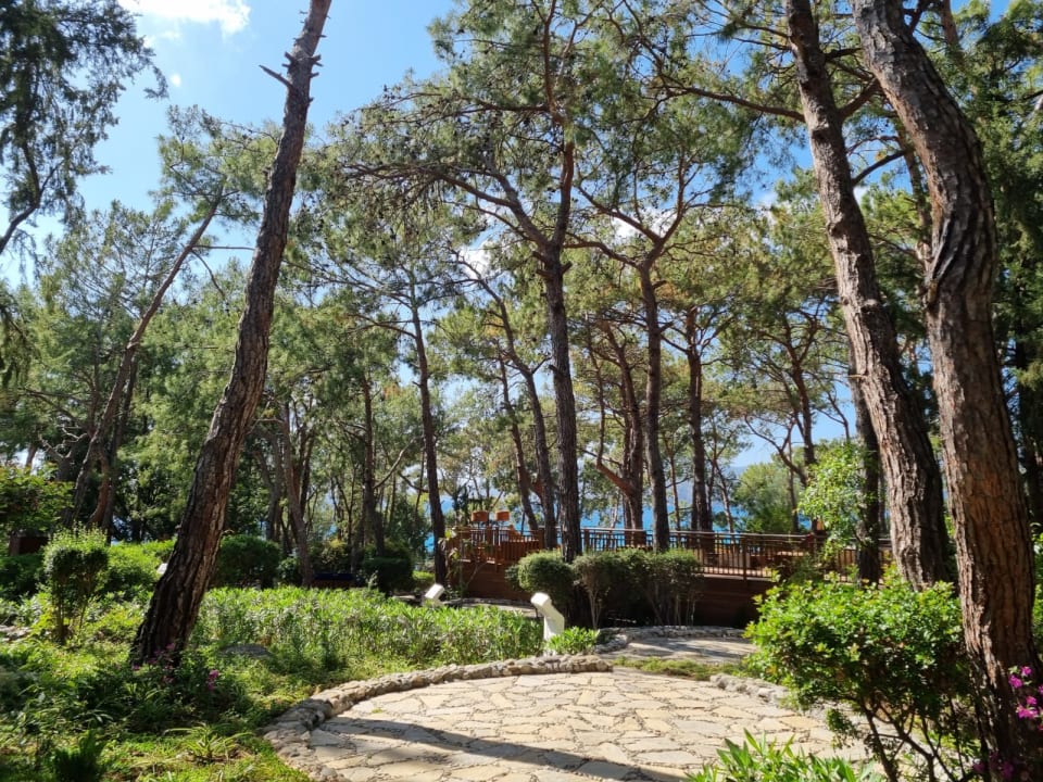 Gartenanlage Liberty Lykia