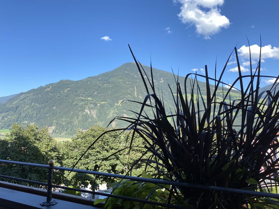 Ausblick Platzlhof - Mein Hotel im Zillertal