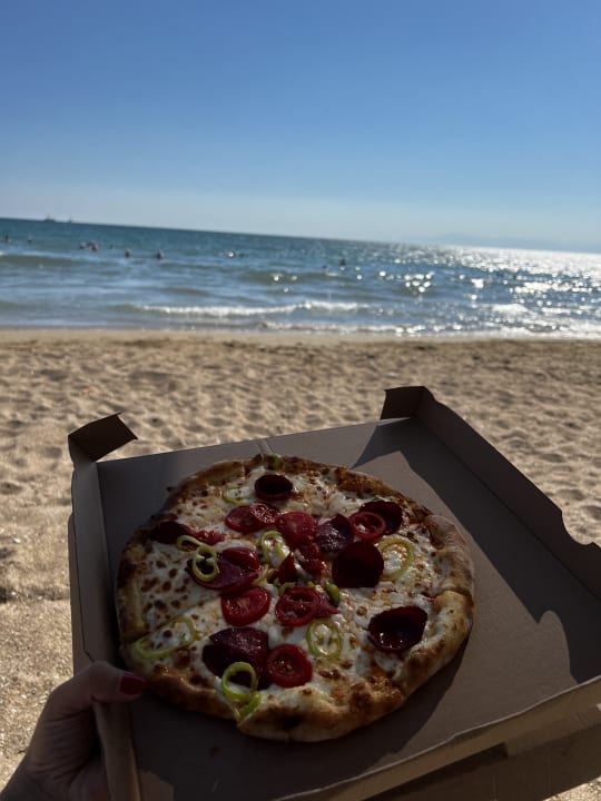 Gastro Acanthus Cennet Barut Collection