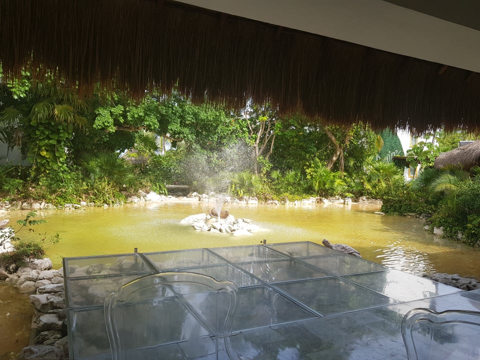 Außenansicht Desire Riviera Maya Pearl Resort - Adults only