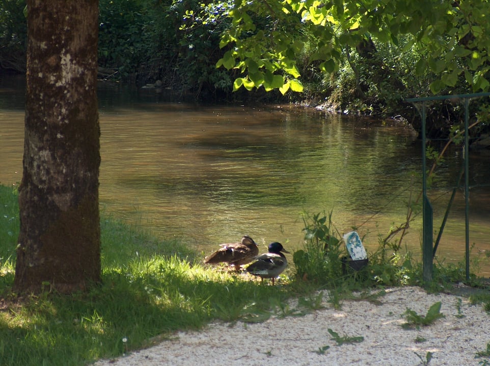 Ausblick Hotel Moulin De Vigonac