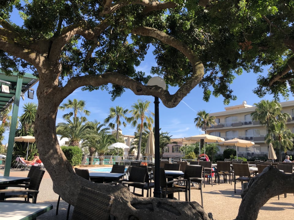 Pool Club Simó Hotel by Senator