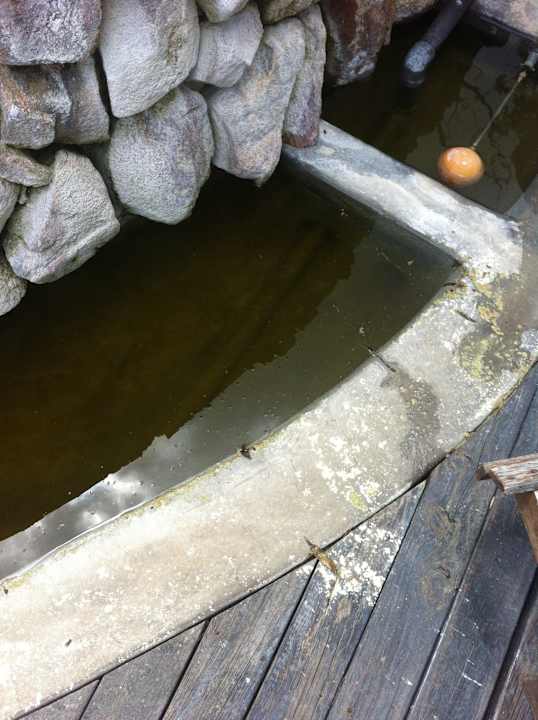 Panoramapool verdreckt Bongani Mountain Lodge