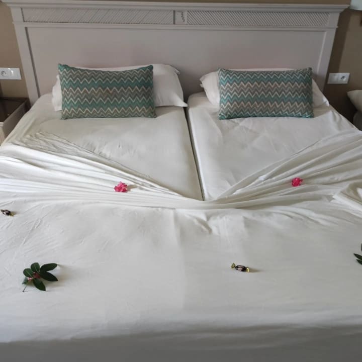Zimmer Marhaba Royal Salem