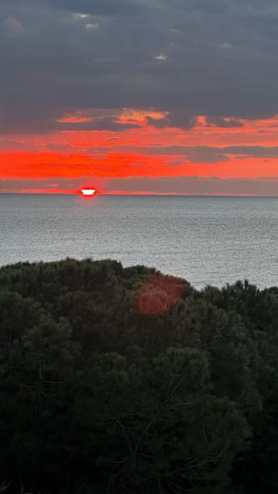 Ausblick Gardenia Hotel