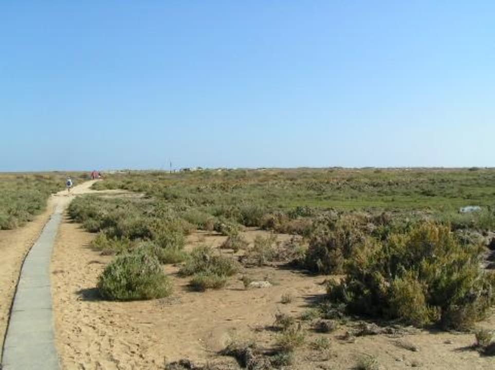 Weg zum Strand nach dem Übersetzen mit dem Boot Golden Club Cabanas