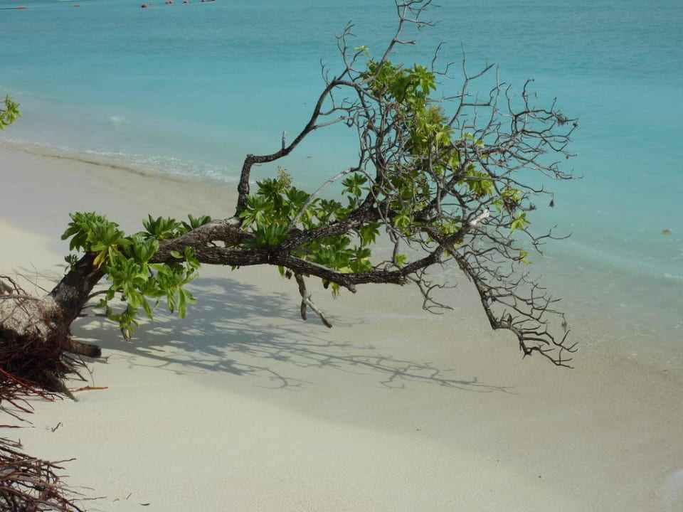 Mal durchatmen Villa Park Sun Island