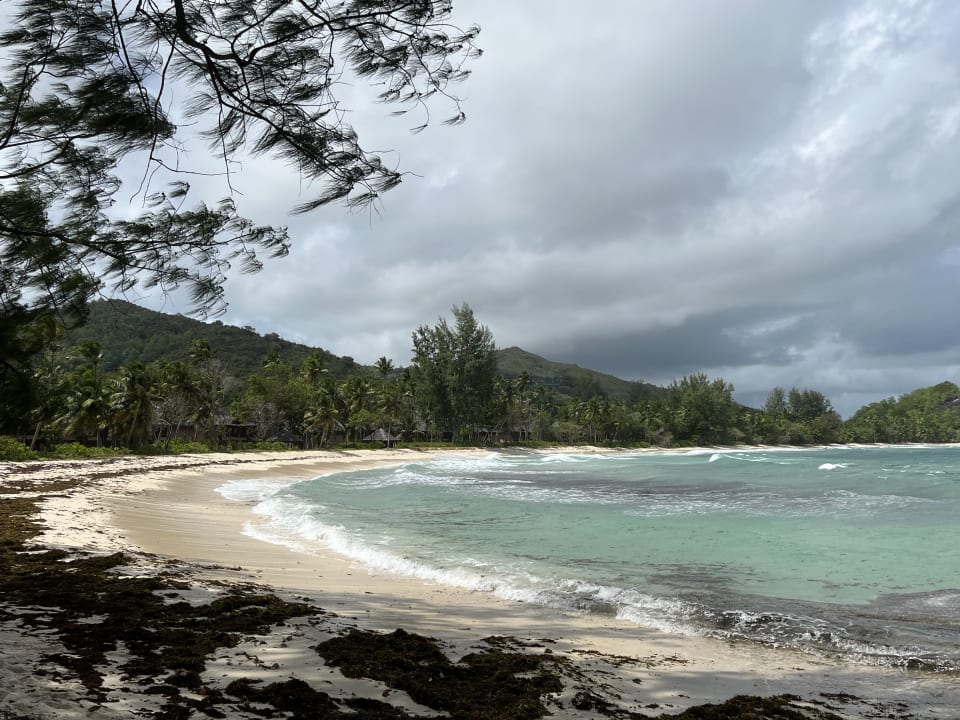 Strand Constance Lemuria