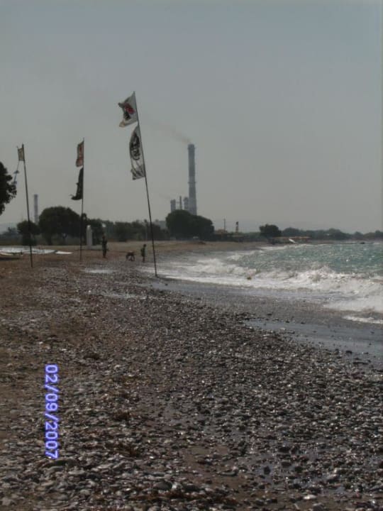 Der Strand auf der anderen Seite TUI KIDS CLUB Alex Beach