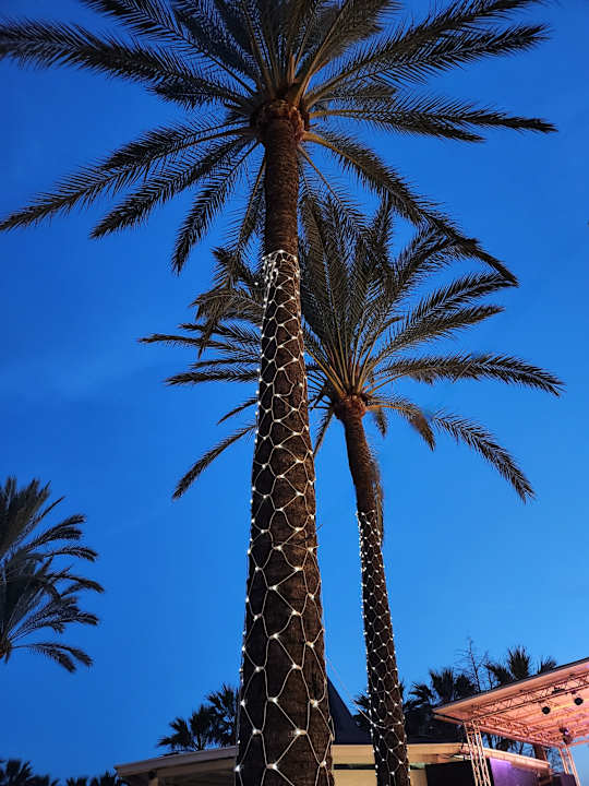 Gartenanlage Hotel Cala Millor Garden - Adults only