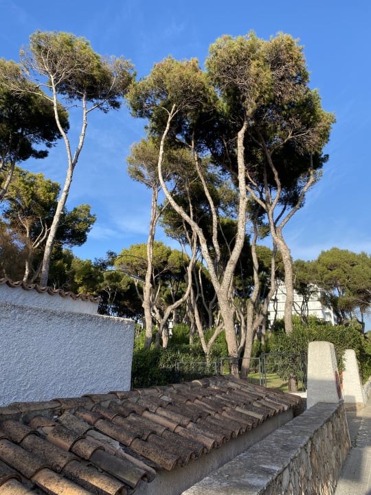 Außenansicht Hotel Riu Festival