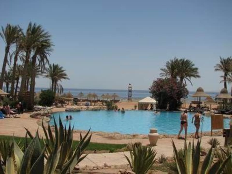 Mniejszy basen Parrotel Beach Resort