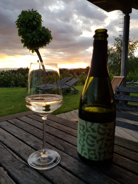 Ausblick Kollerhof am Eichberg