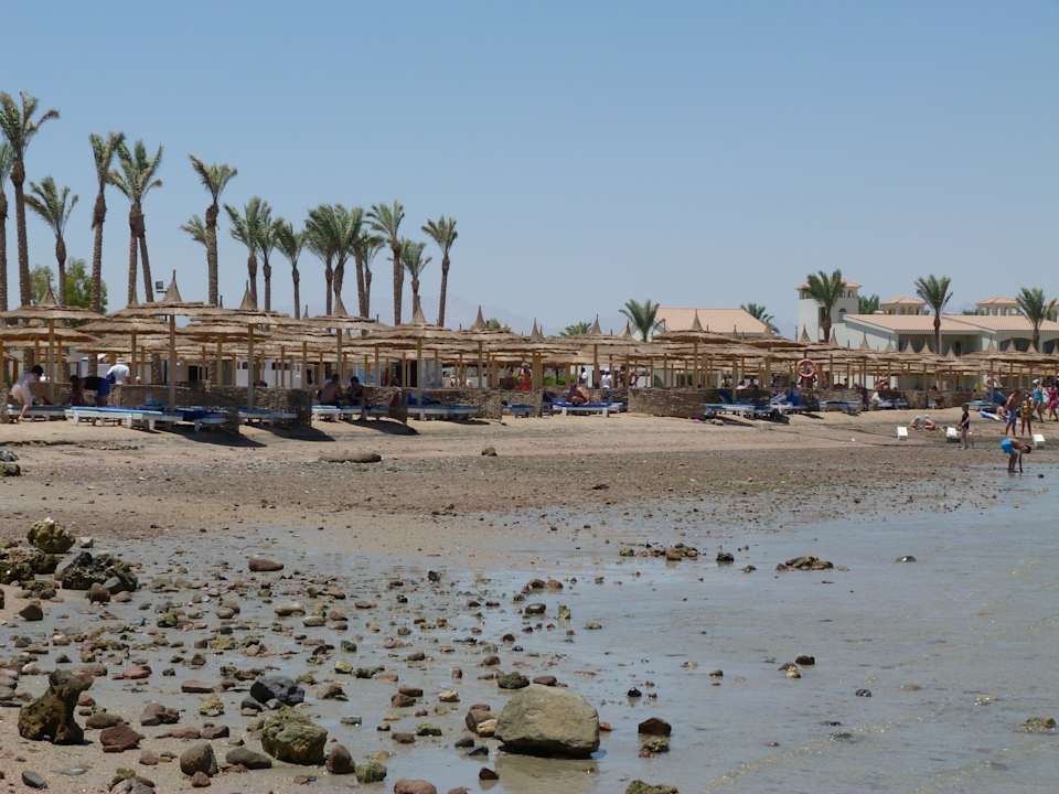Plaża Pickalbatros Alf Leila Wa Leila Resort - Neverland Hurghada