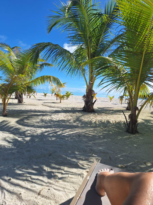 Strand Hotel Riu Atoll