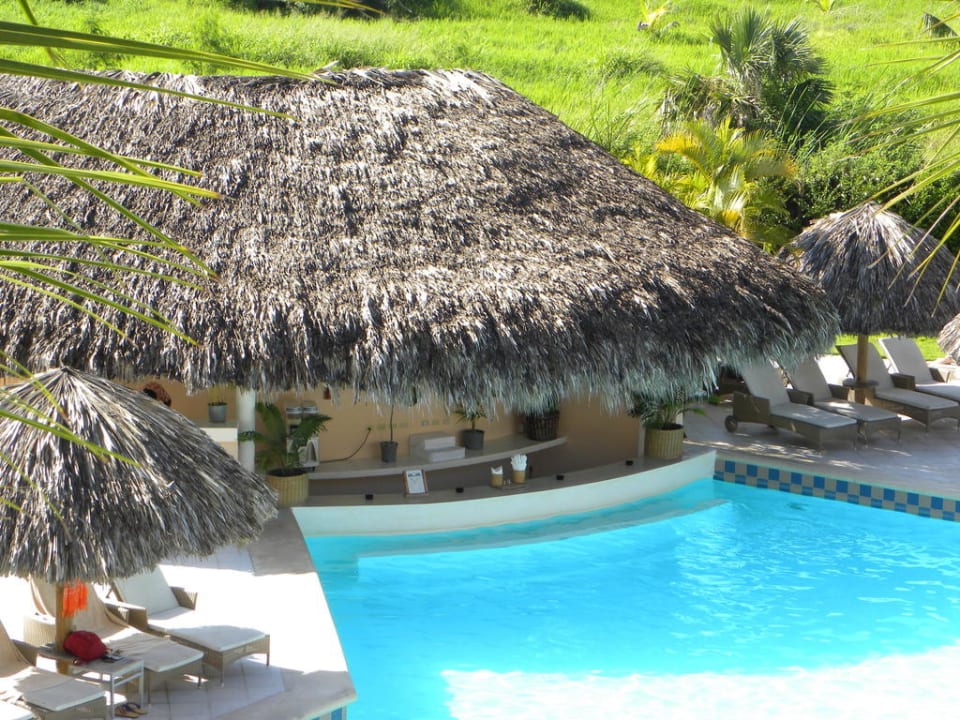 Swim-up Bar Catalonia Royal Bavaro - Adults only