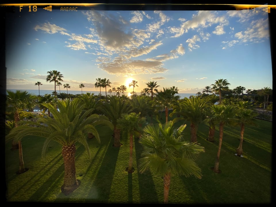 Gartenanlage Hotel Riu Palace Tenerife