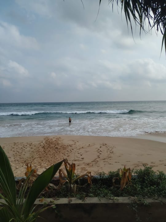 Strand Hotel Haus am Meer Wilde Ananas