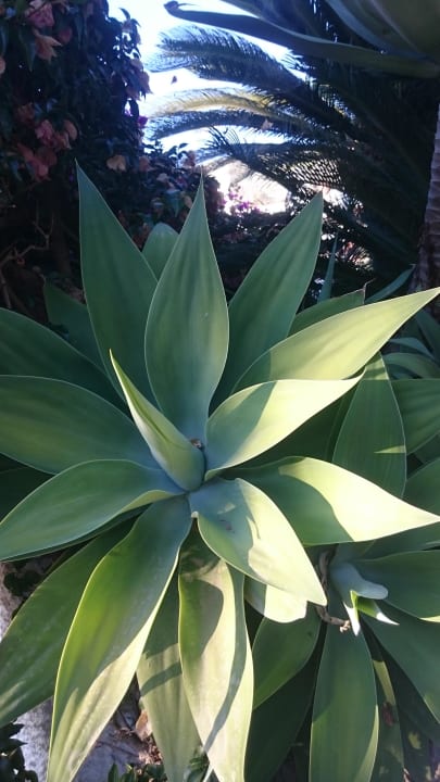 Pool Hotel Paradiso Terme Resort & SPA