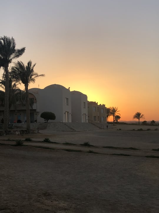 Gartenanlage Three Corners Sea Beach Resort