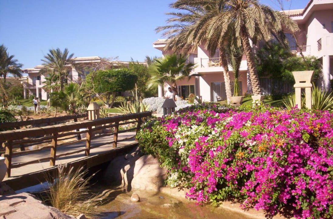 Ogród Parrotel Beach Resort