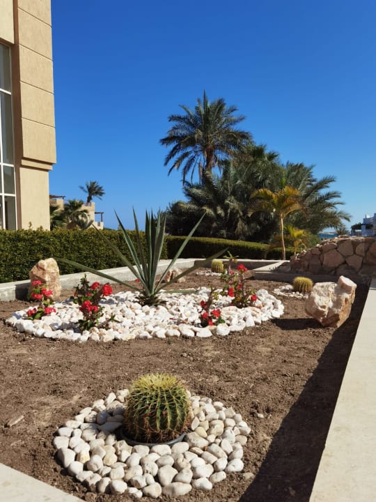 Gartenanlage Shams Safaga Resort