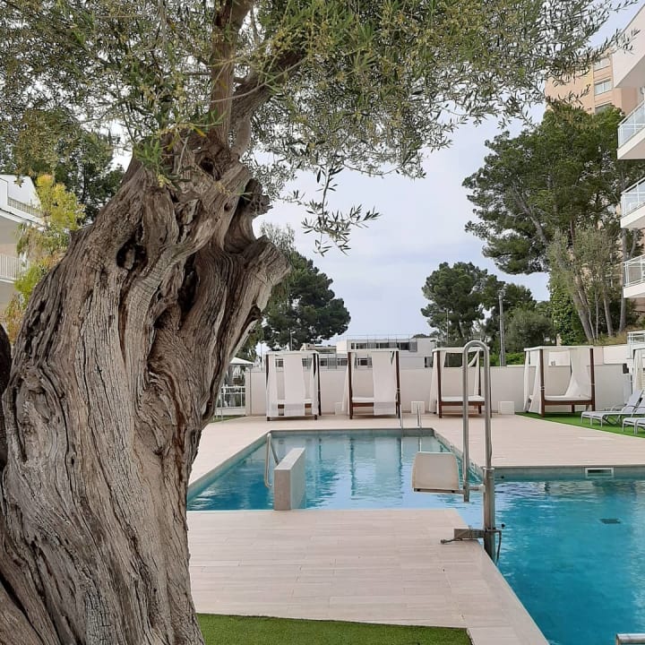 Außenansicht BQ Bulevar Paguera - Adults only