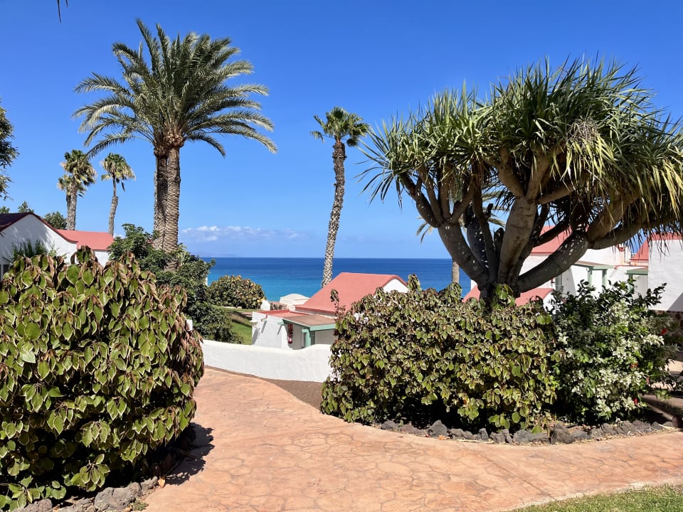 Ausblick Aldiana Club Fuerteventura
