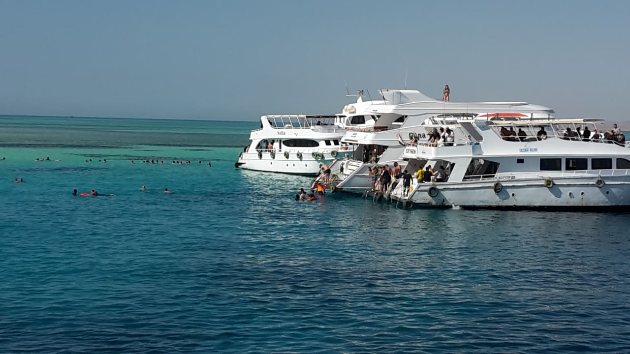 Sport & Freizeit Pickalbatros Royal Moderna Resort-Sharm El Sheikh