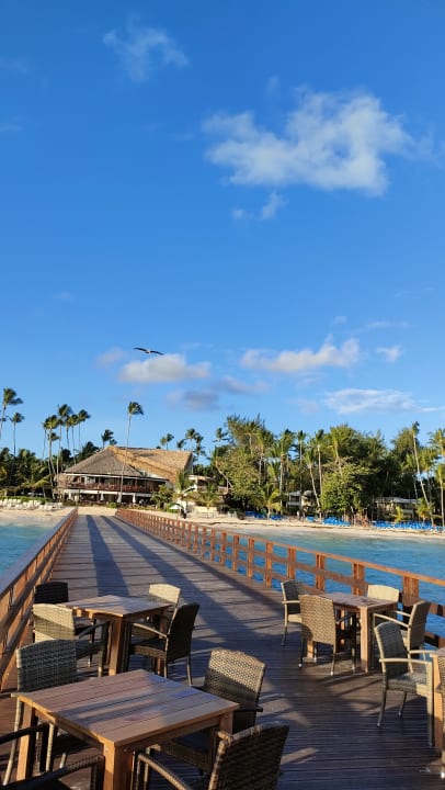 Gastro Impressive Premium Punta Cana