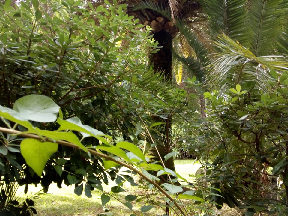 Gartenanlage Lago Garden