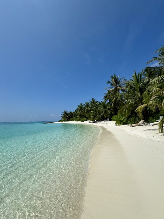 Strand Summer Island Maldives