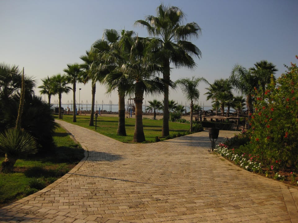 Weg zum Strand TUI BLUE Palm Garden