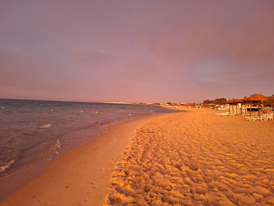 Strand Sentido Phenicia