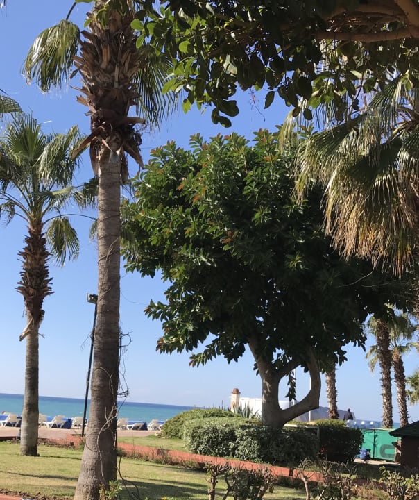 Strand Riviera Hotel & Spa